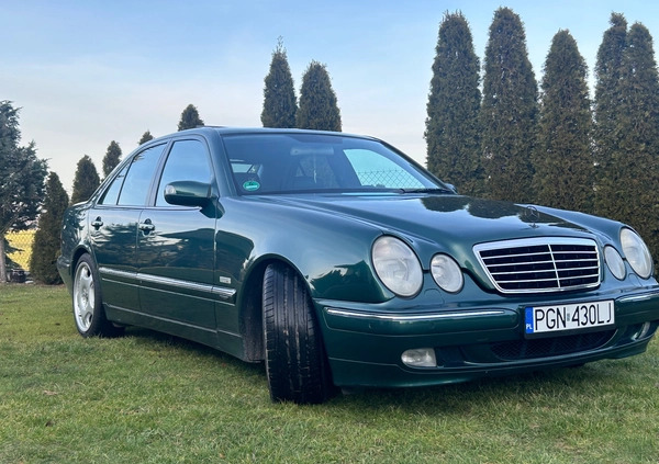 Mercedes-Benz Klasa E cena 56900 przebieg: 215000, rok produkcji 2003 z Gniezno małe 106